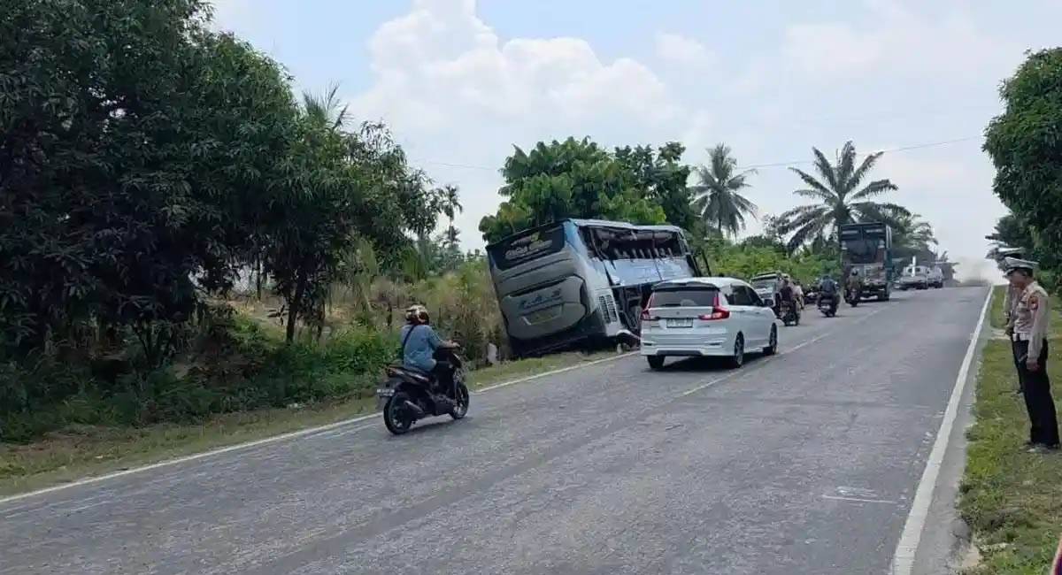 Bus PMH.jpg