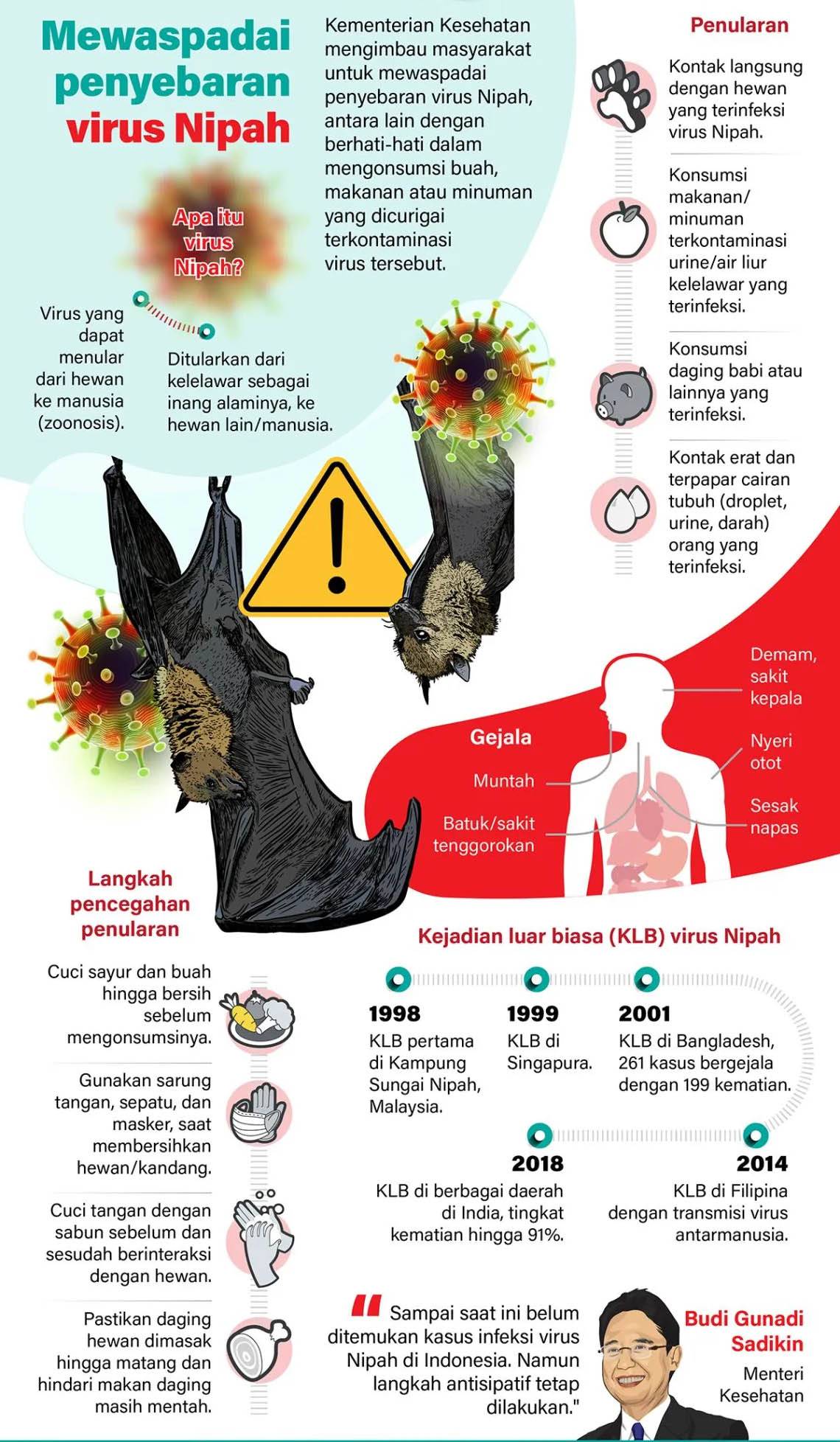 Virus Nipah.jpg
