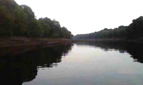 Kawasan_Suaka_Margasatwa_Giam_Siak_Kecil_Bukit_Batu_3.jpg